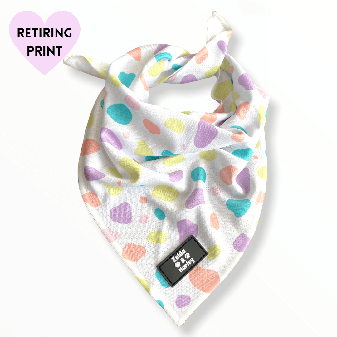Zelda & Harley Bandana Pastel Bandana