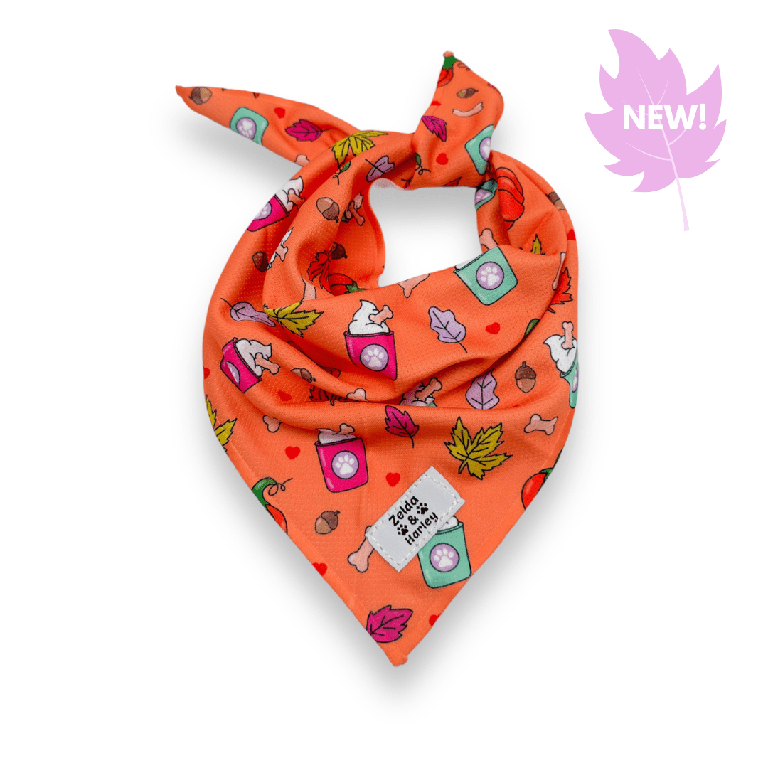Zelda & Harley Bandana Pupkin Spice Bandana
