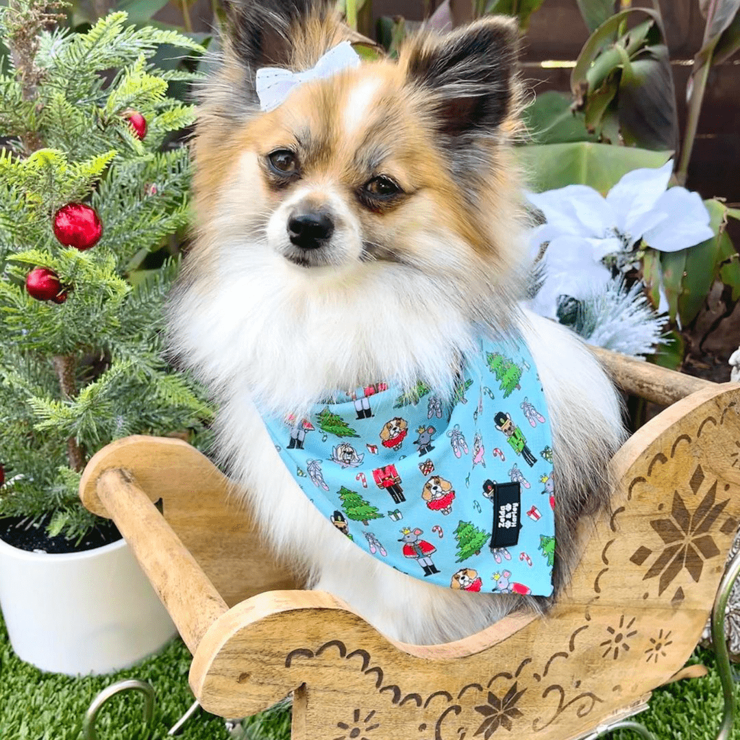 Zelda & Harley Bandanas The Muttcracker Bandana