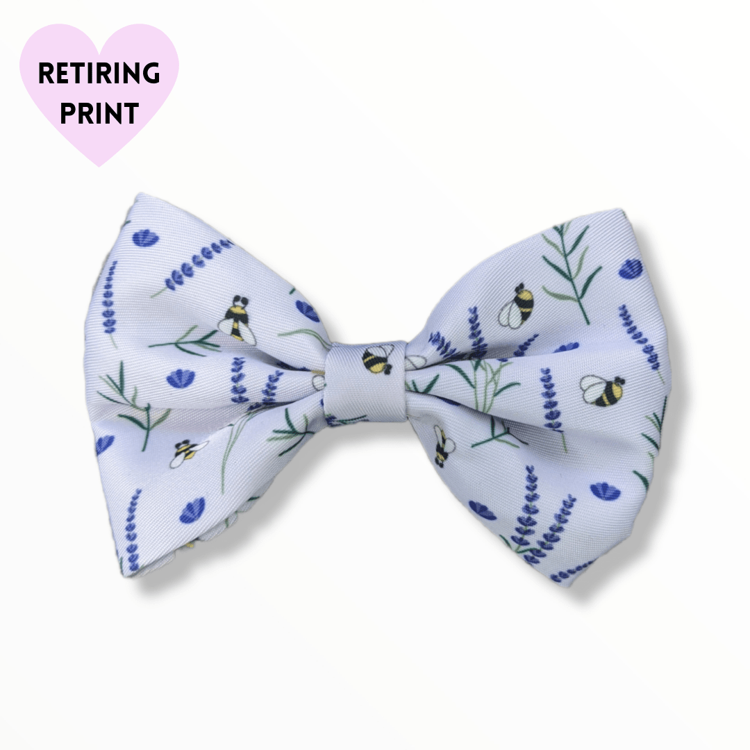 Zelda & Harley Bow One Size Sweet as Can Bee Bow Tie