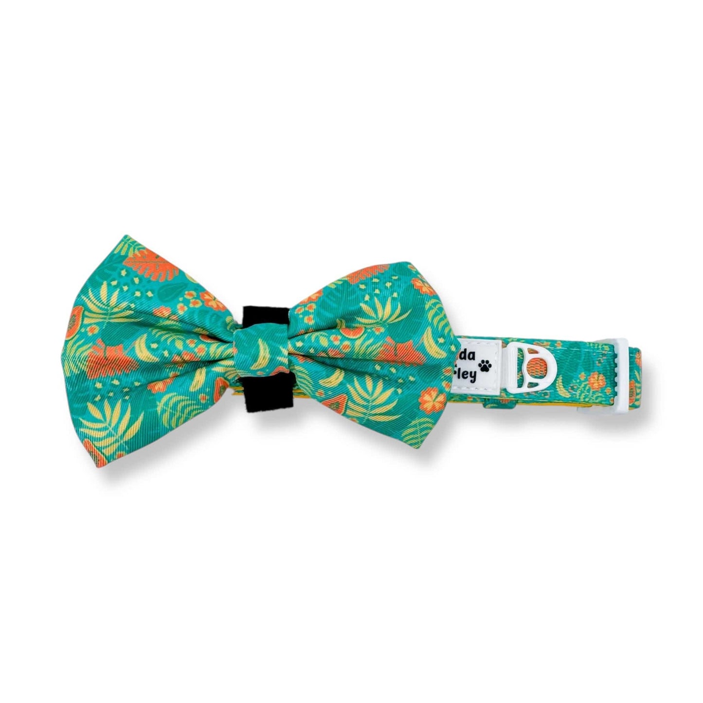 Zelda & Harley Collar Jungle Pawradise Collar + Bow Tie
