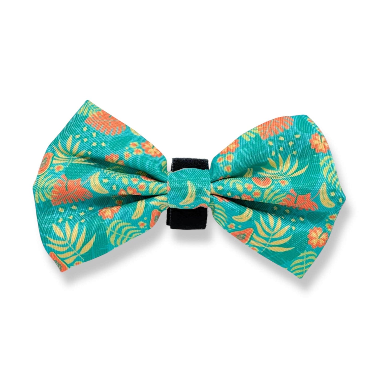 Zelda & Harley Collar Jungle Pawradise Collar + Bow Tie