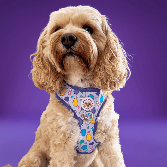 Zelda & Harley Harness Cotton Candy - No Pull Adjustable Dog Harness