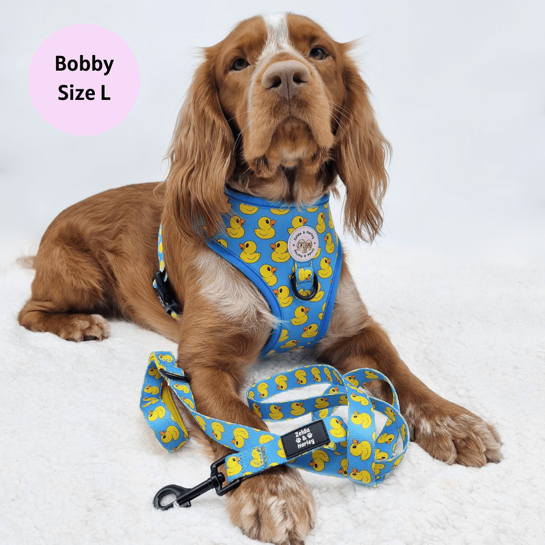 Zelda & Harley Harness Rubber Duckie - No Pull Adjustable Dog Harness