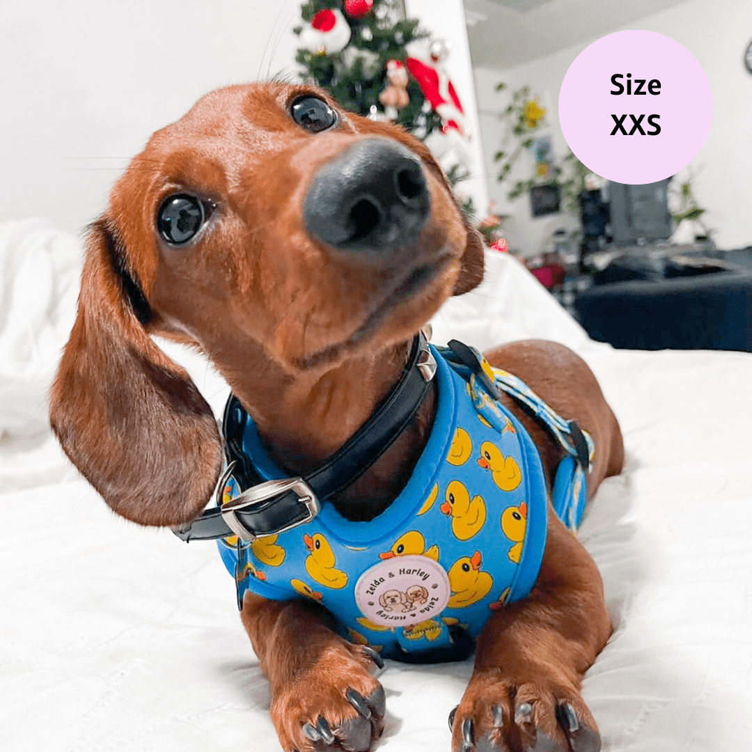 Zelda & Harley Harness Rubber Duckie - No Pull Adjustable Dog Harness