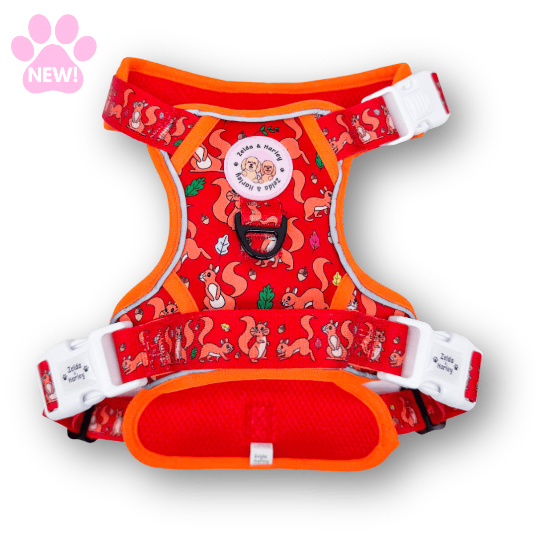 Zelda & Harley Harness Squirrel Pawtrol | Adventure No Pull Dog Harness