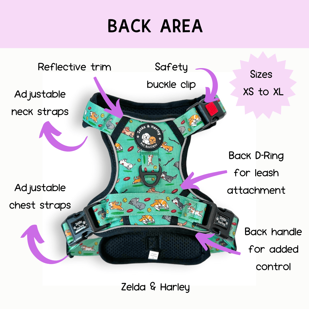 Zelda & Harley Harness Zoomies - Adventure No Pull Harness