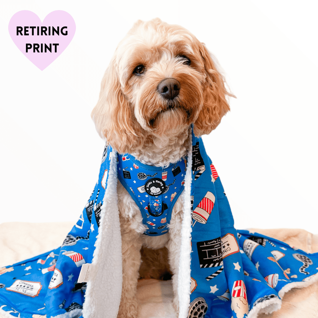 Zelda & Harley Howl-lywood Dog Blanket