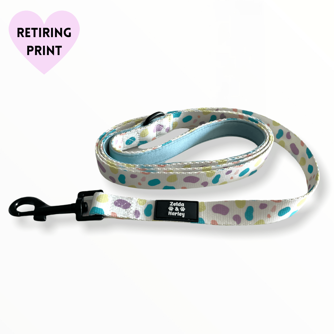Zelda & Harley Lead Pastel Lead