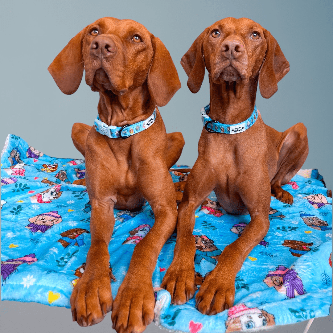 Zelda & Harley Poop Bag Holder Snow Pawtrol Dog Blanket
