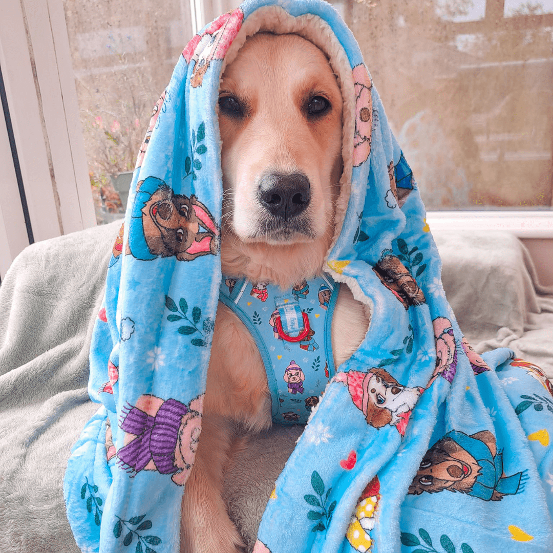 Zelda & Harley Poop Bag Holder Snow Pawtrol Dog Blanket