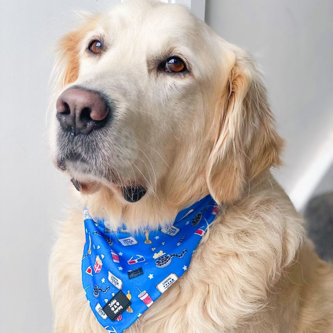 Zelda and Harley Bandana Howl-lywood Bandana