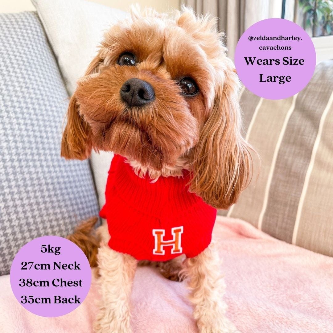 Zelda and Harley Dog Apparel Personalised Knitted Pet Jumper