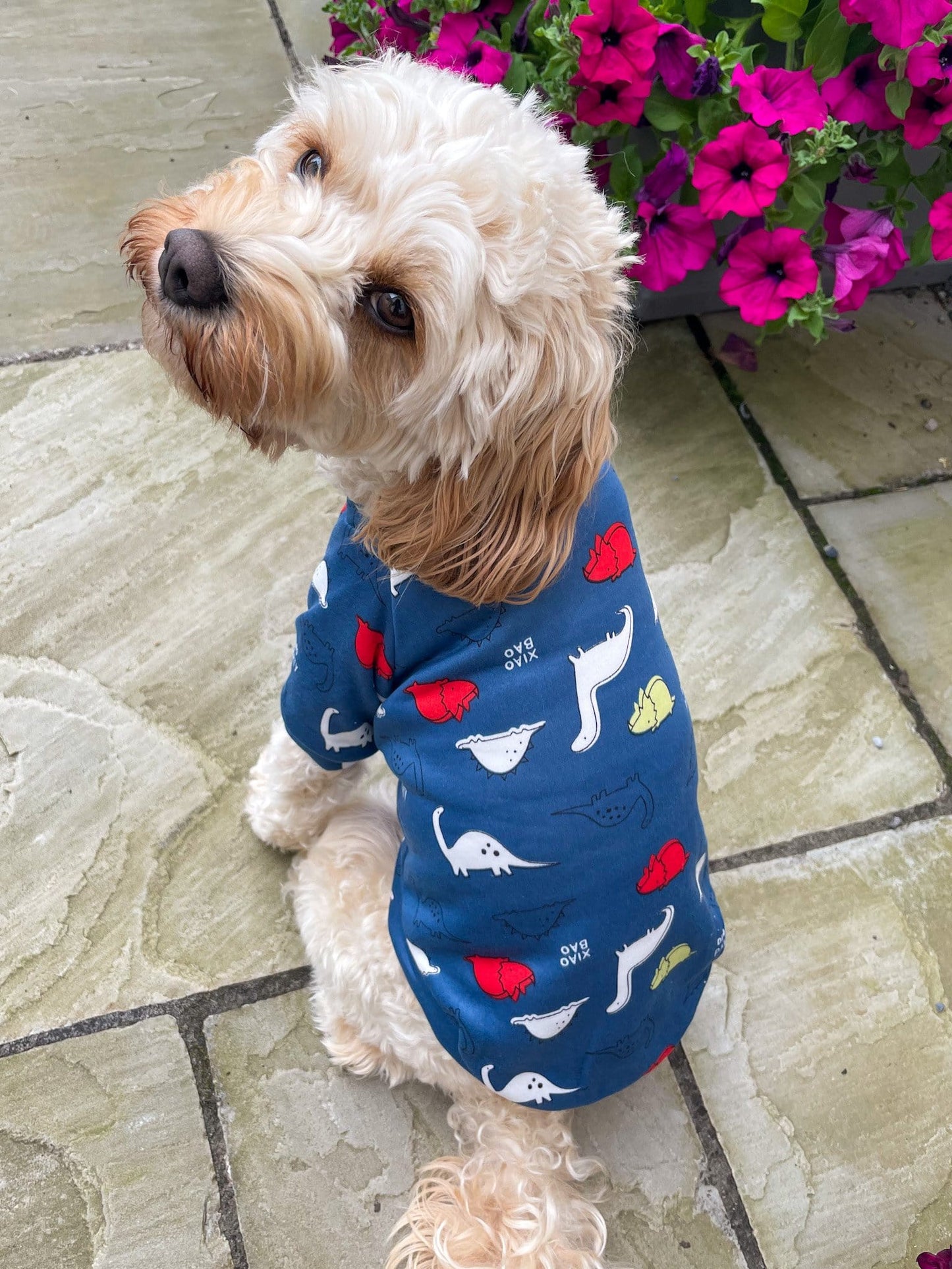 Zelda and Harley Dog Outfit Dino Pet Jumper