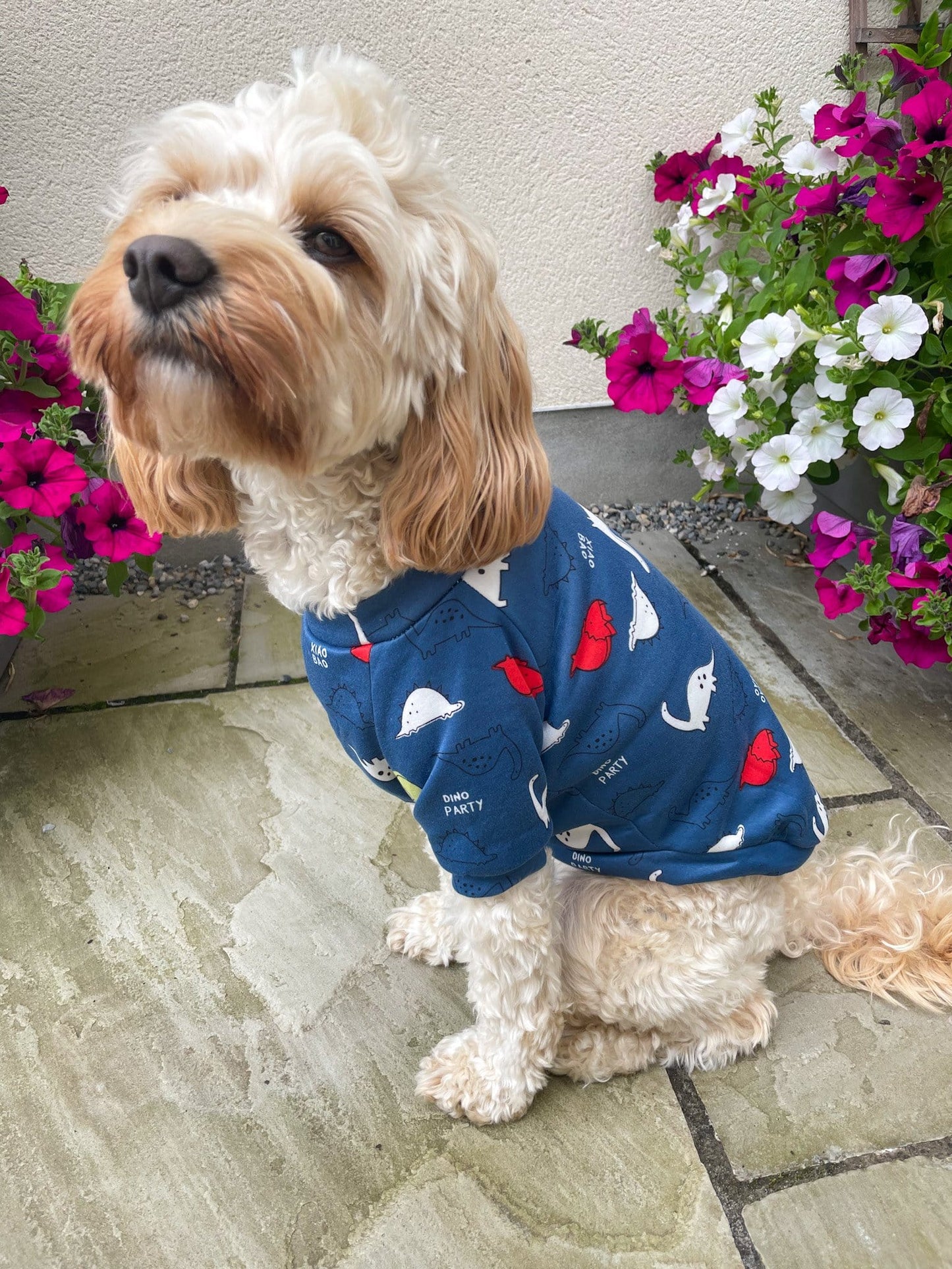 Zelda and Harley Dog Outfit Dino Pet Jumper