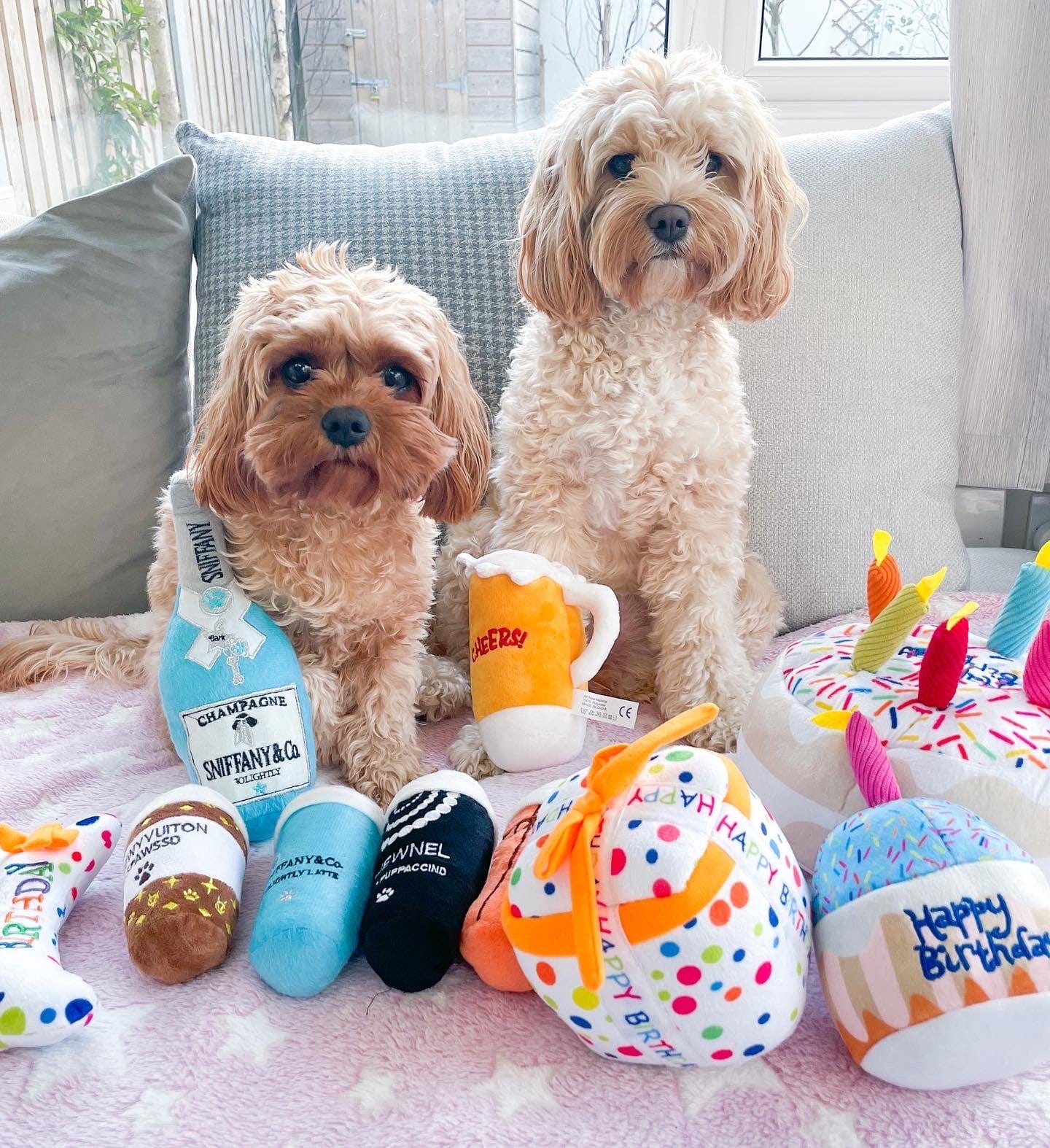 Zelda and Harley Dog Toys Puppuccinos