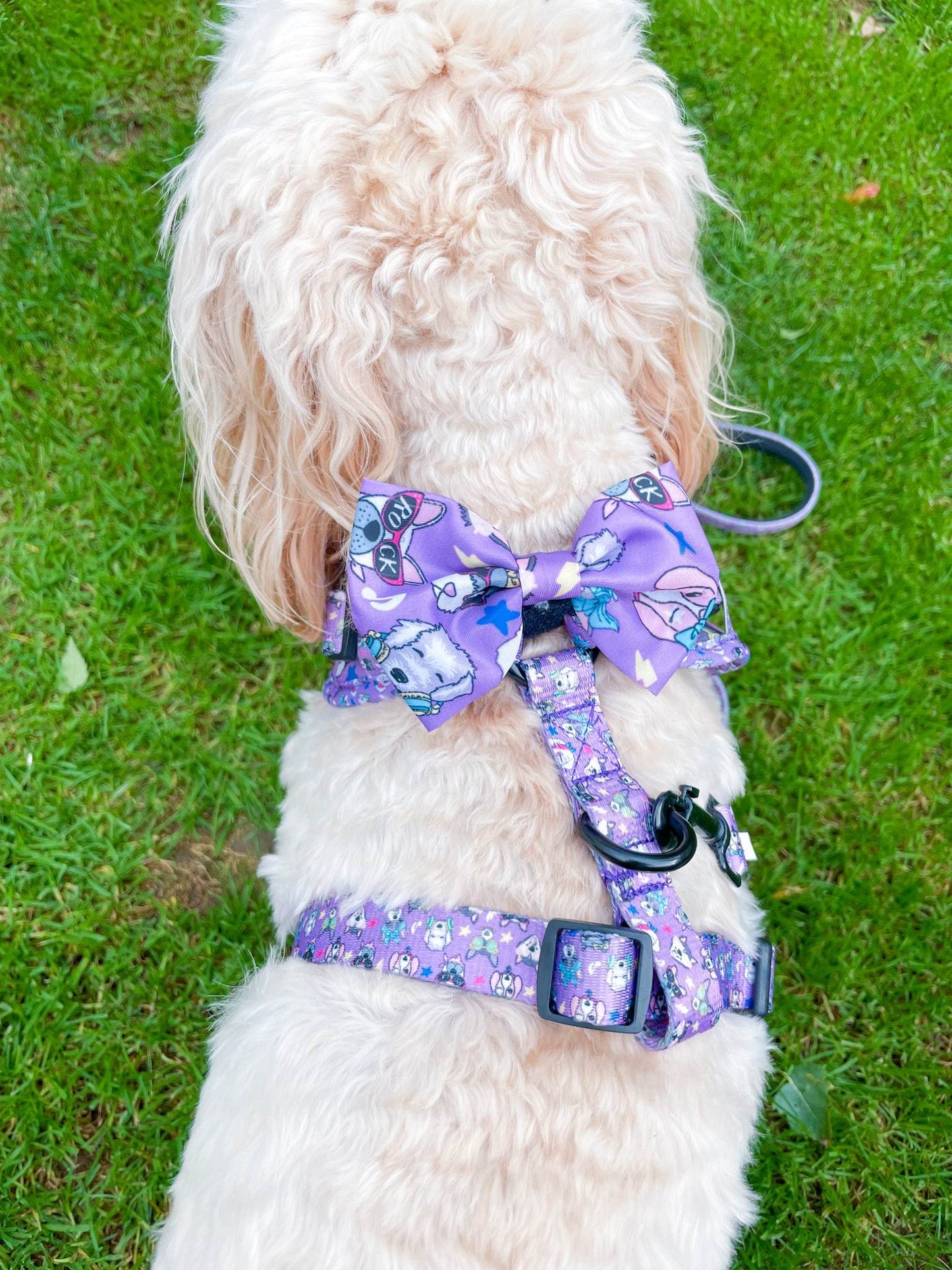 Zelda and Harley Harness Muttallica - D-Ring Adjustable Dog Harness