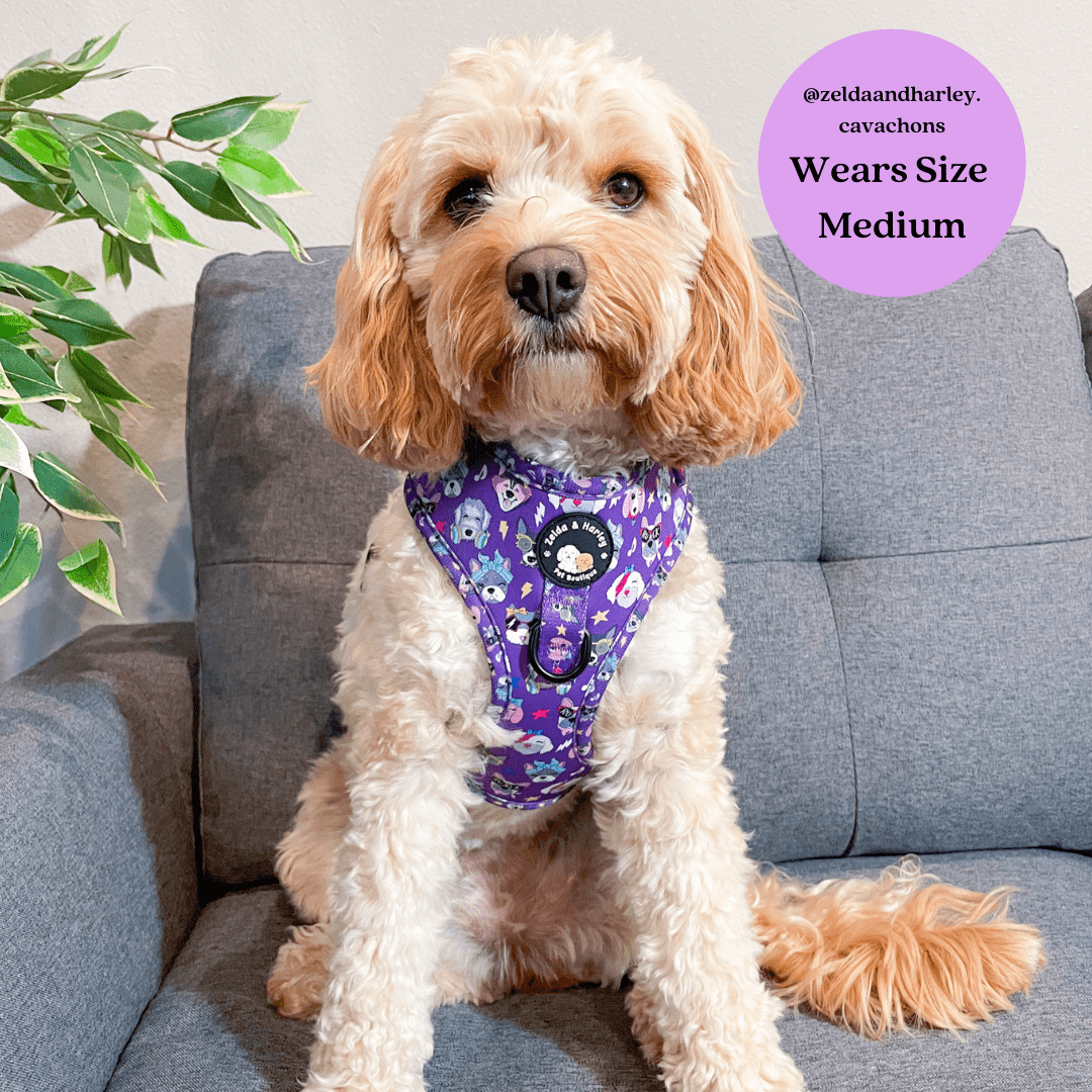 Zelda and Harley Harness Muttallica - D-Ring Adjustable Dog Harness