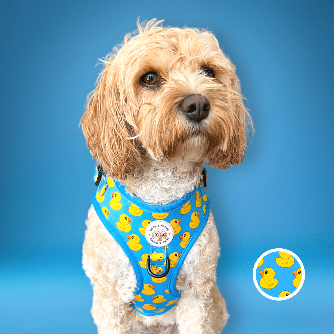 Zelda & Harley Harness Rubber Duckie - No Pull Adjustable Dog Harness