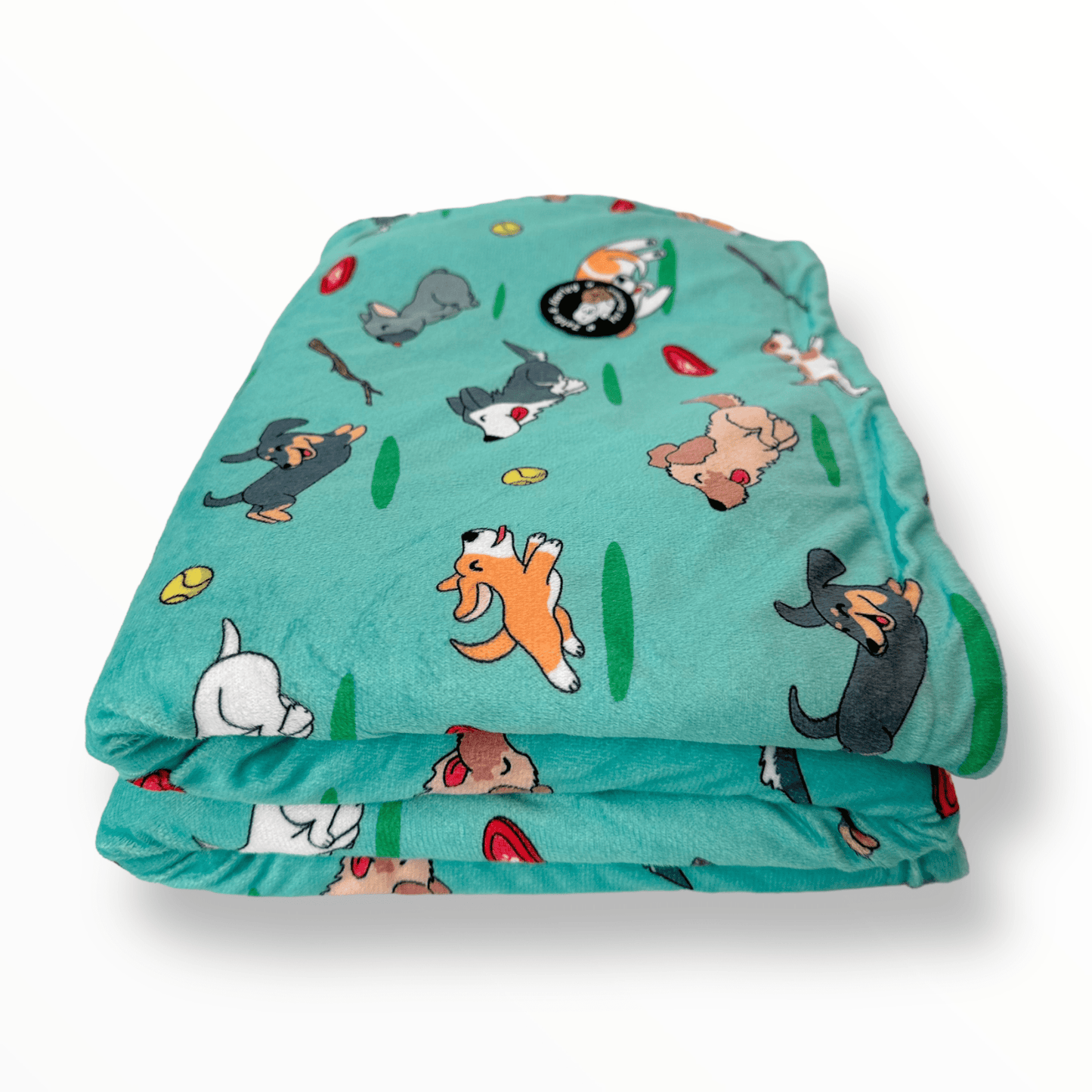 Zelda & Harley Zoomies Dog Blanket