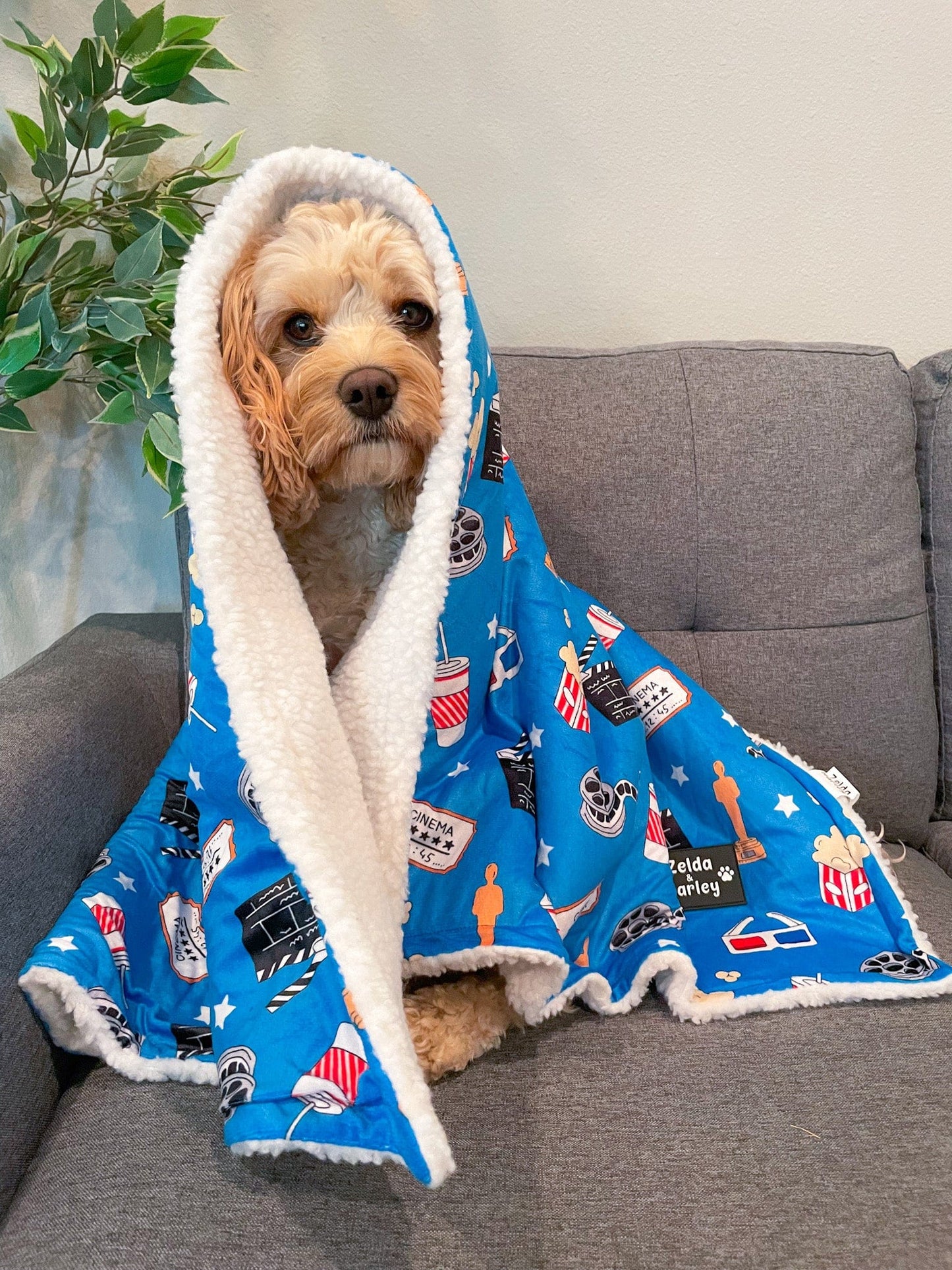 zeldaandharley.ie Howl-lywood Dog Blanket