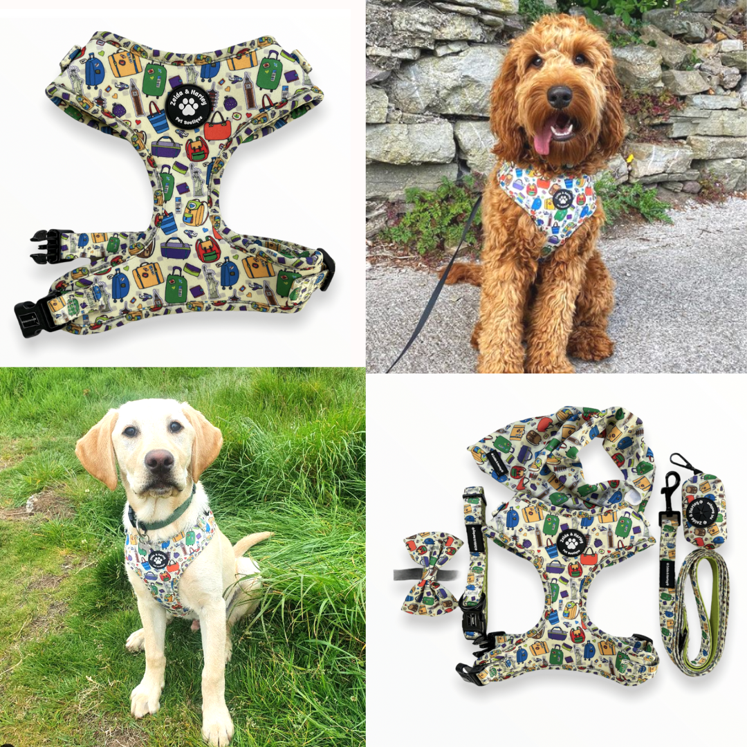 Build Your Own Bundle - Travels and Tails