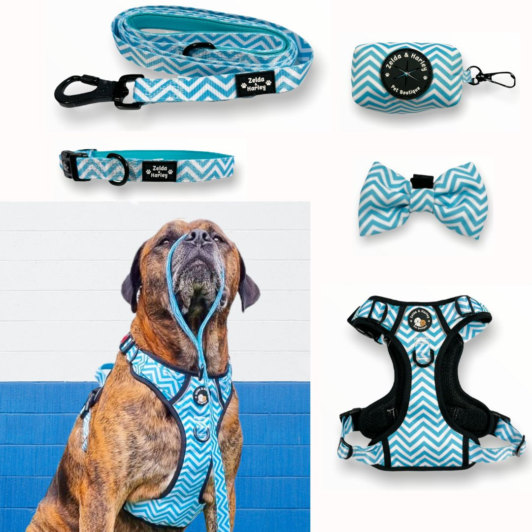 Build Your Own Bundle - Zig Zag Wag - Pastel Blue