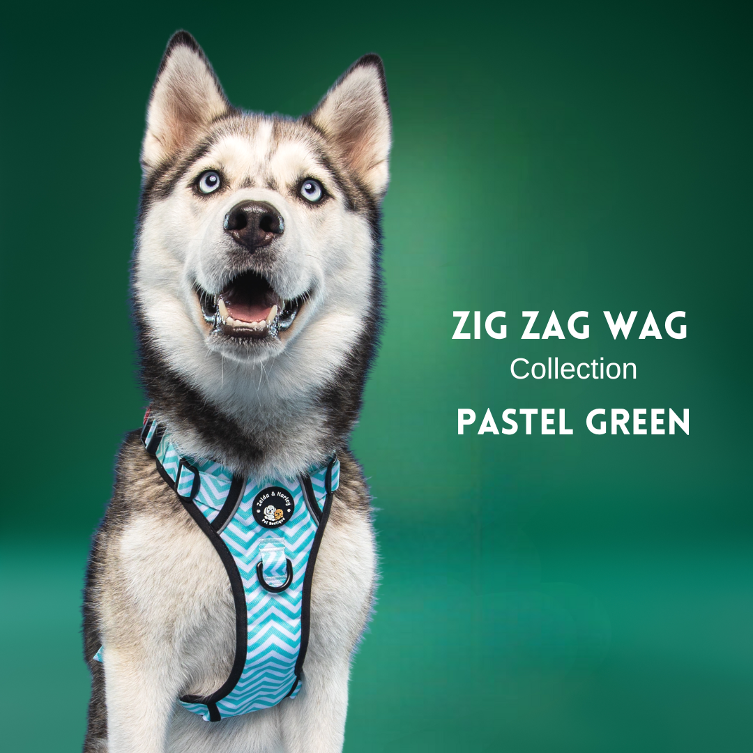 Zig Zag Wag - Pastel Green