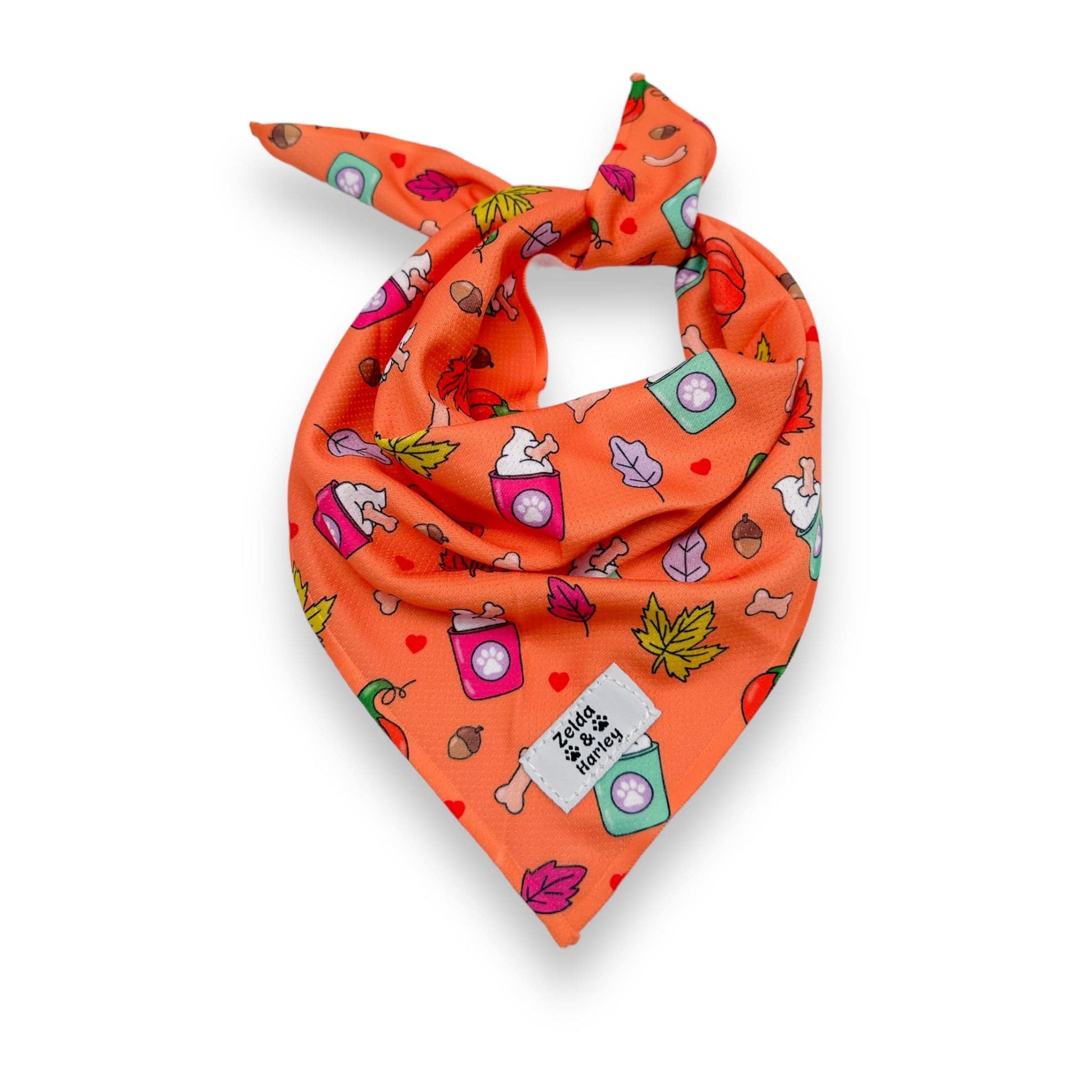 Zelda & Harley Bandana Pupkin Spice Bandana