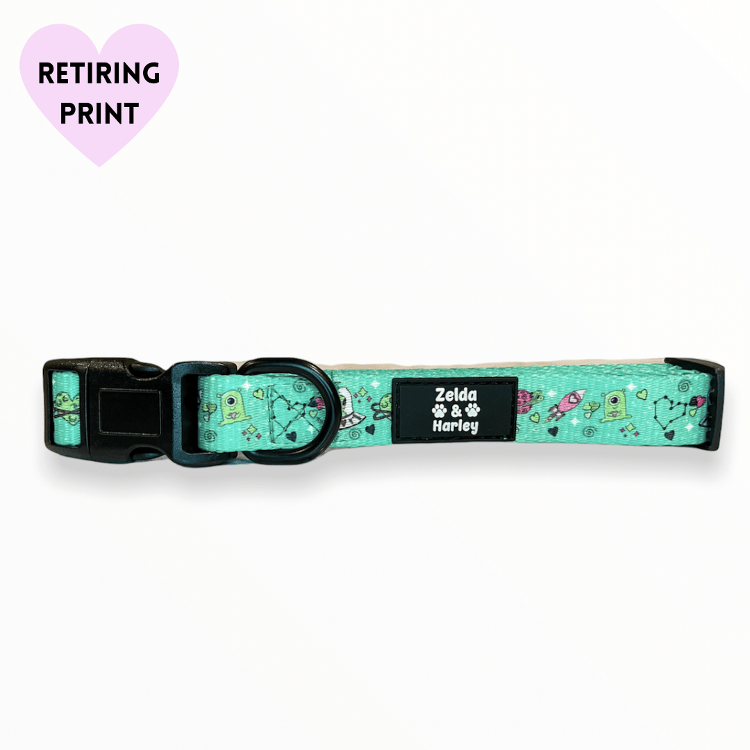 Zelda & Harley Collar Plutonic Pooch Collar