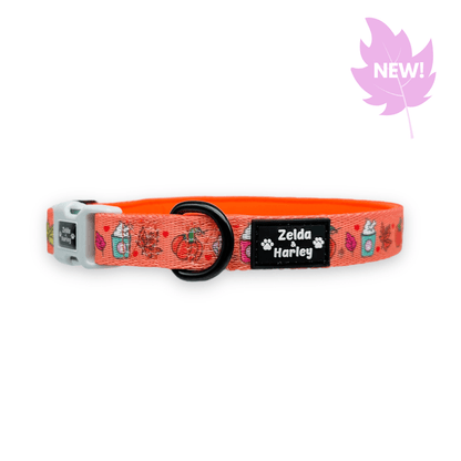 Zelda & Harley Collar Pupkin Spice Collar