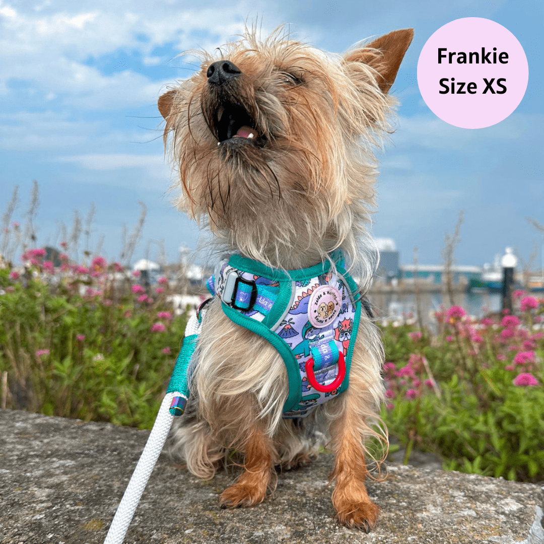 Zelda & Harley Harness Doggosaurus Rex - Adventure No Pull Harness