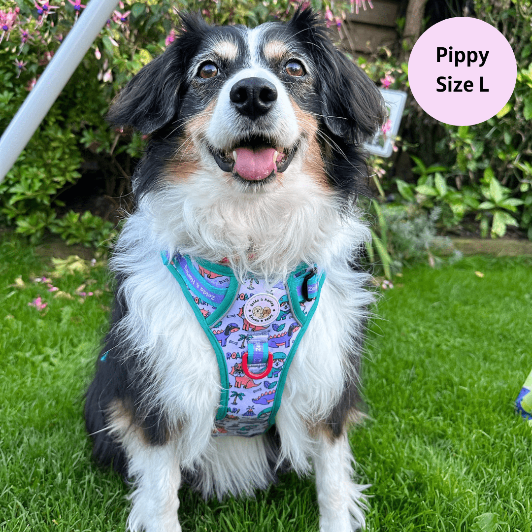 Zelda & Harley Harness Doggosaurus Rex - Adventure No Pull Harness