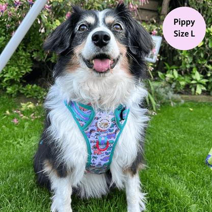 Zelda & Harley Harness Doggosaurus Rex - Adventure No Pull Harness