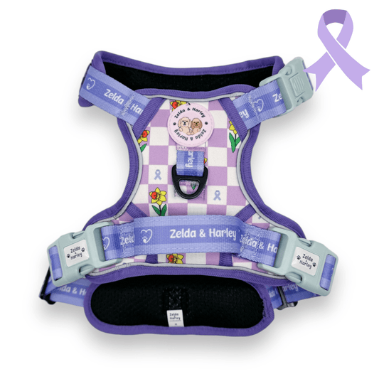 Zelda & Harley Harness Paws for a Cause - Adventure No Pull Harness