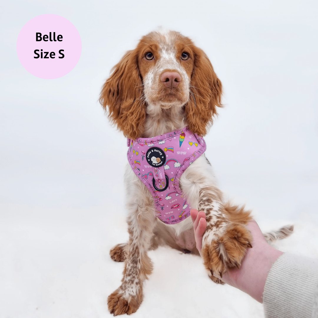 Zelda & Harley Harness Pink Paw-er - No Pull Adjustable Dog Harness