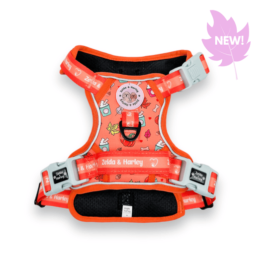 Zelda & Harley Harness Pupkin Spice - Adventure No Pull Harness