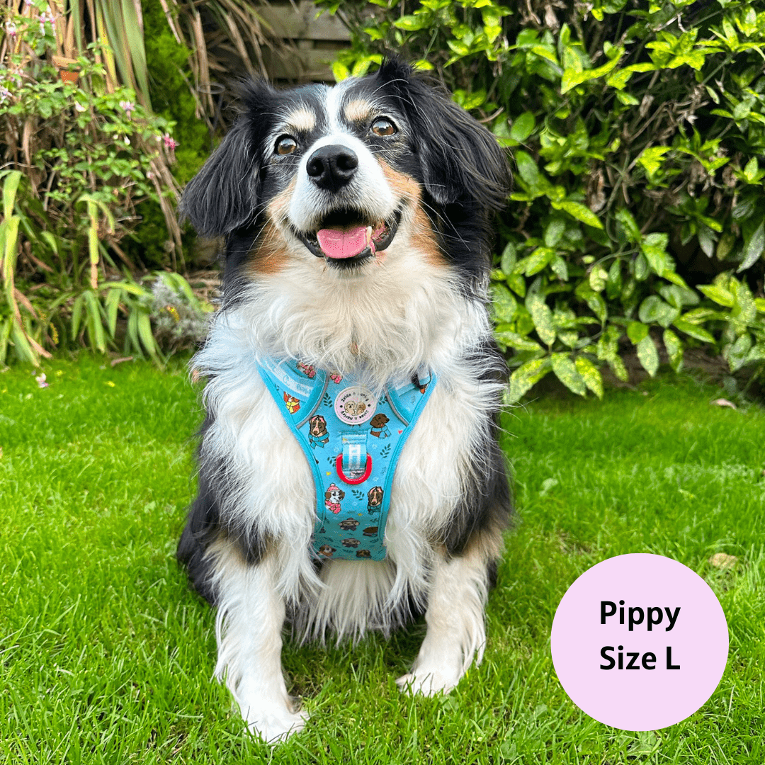 Snow Pawtrol Adventure No Pull Harness