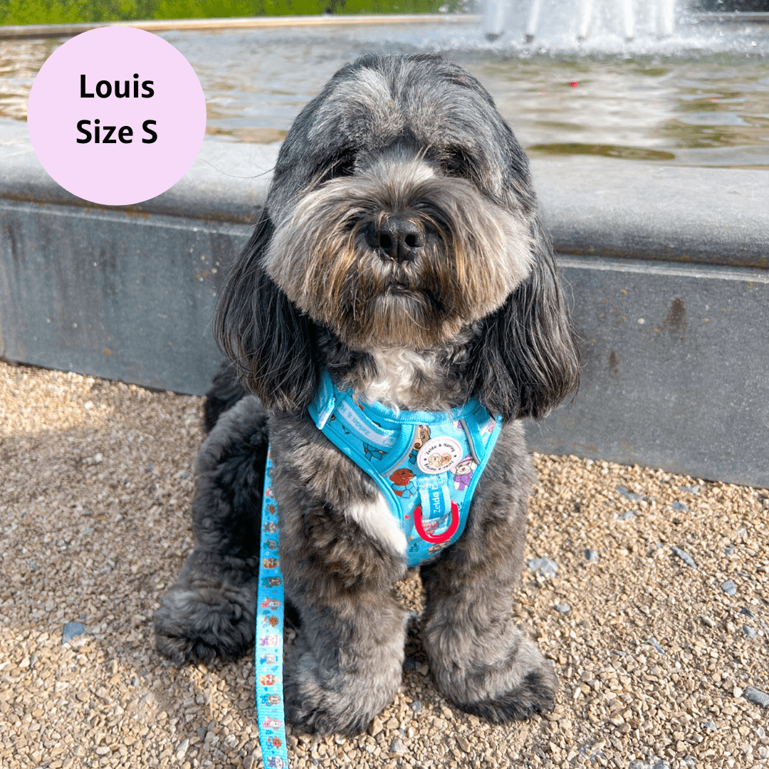 Irelia no online pull dog harness