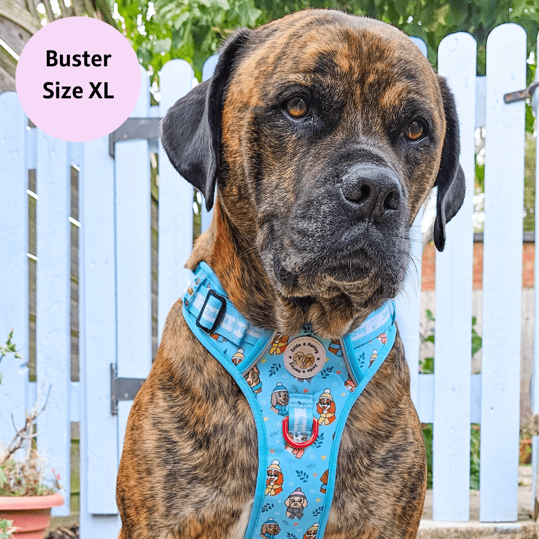 Doggy kingdom no deals pull harness