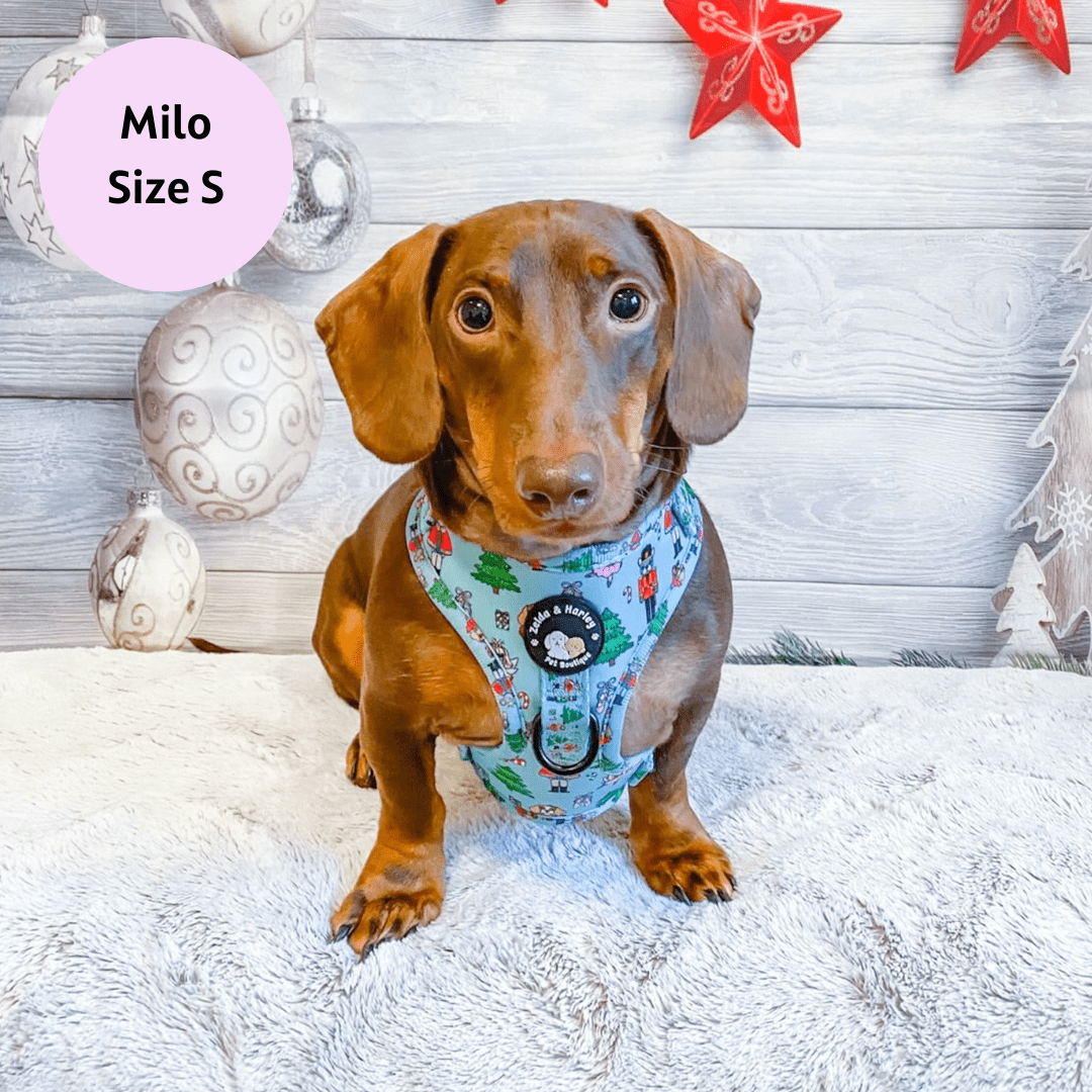 Zelda & Harley Harness The Muttcracker - No Pull Adjustable Dog Harness