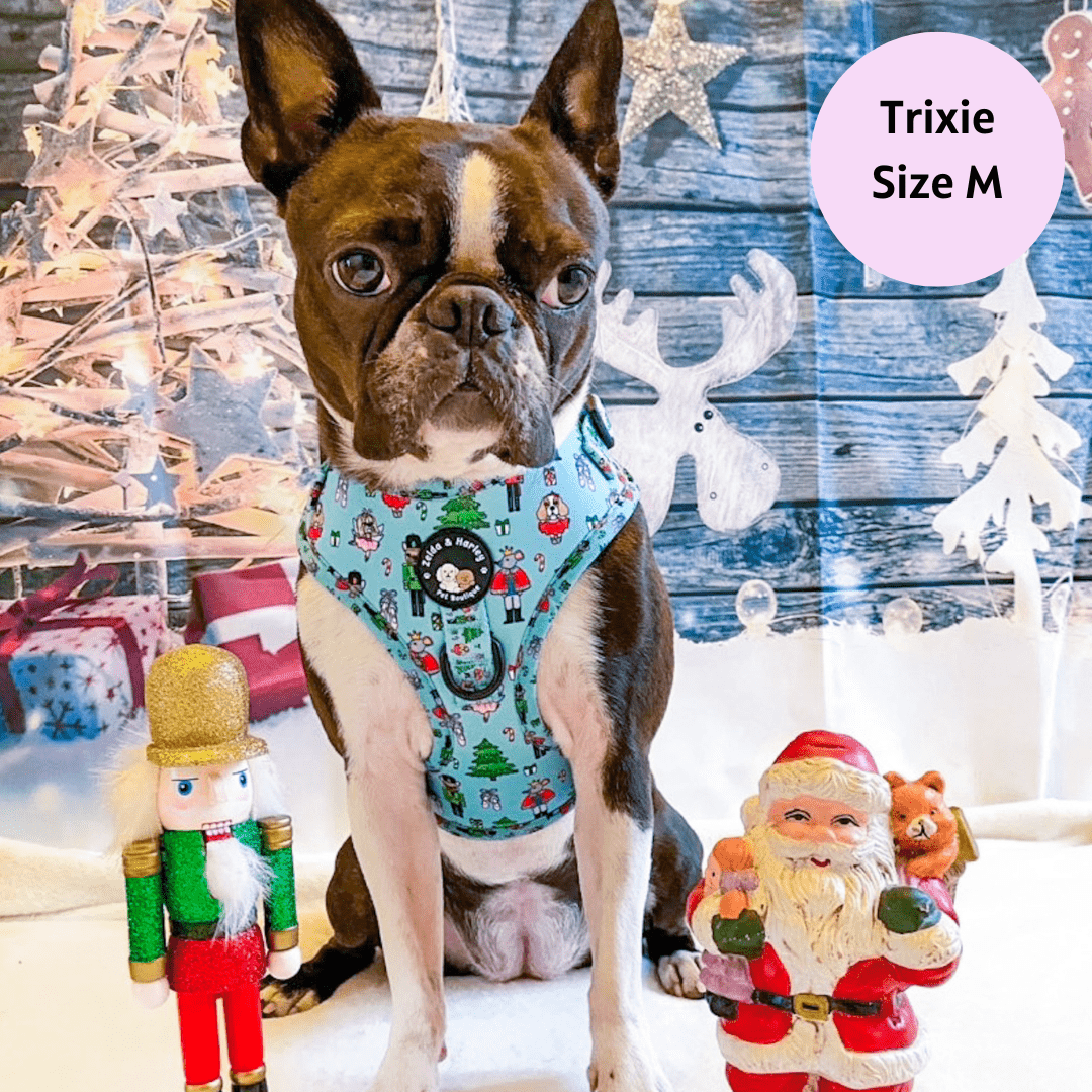 Zelda & Harley Harness The Muttcracker - No Pull Adjustable Dog Harness