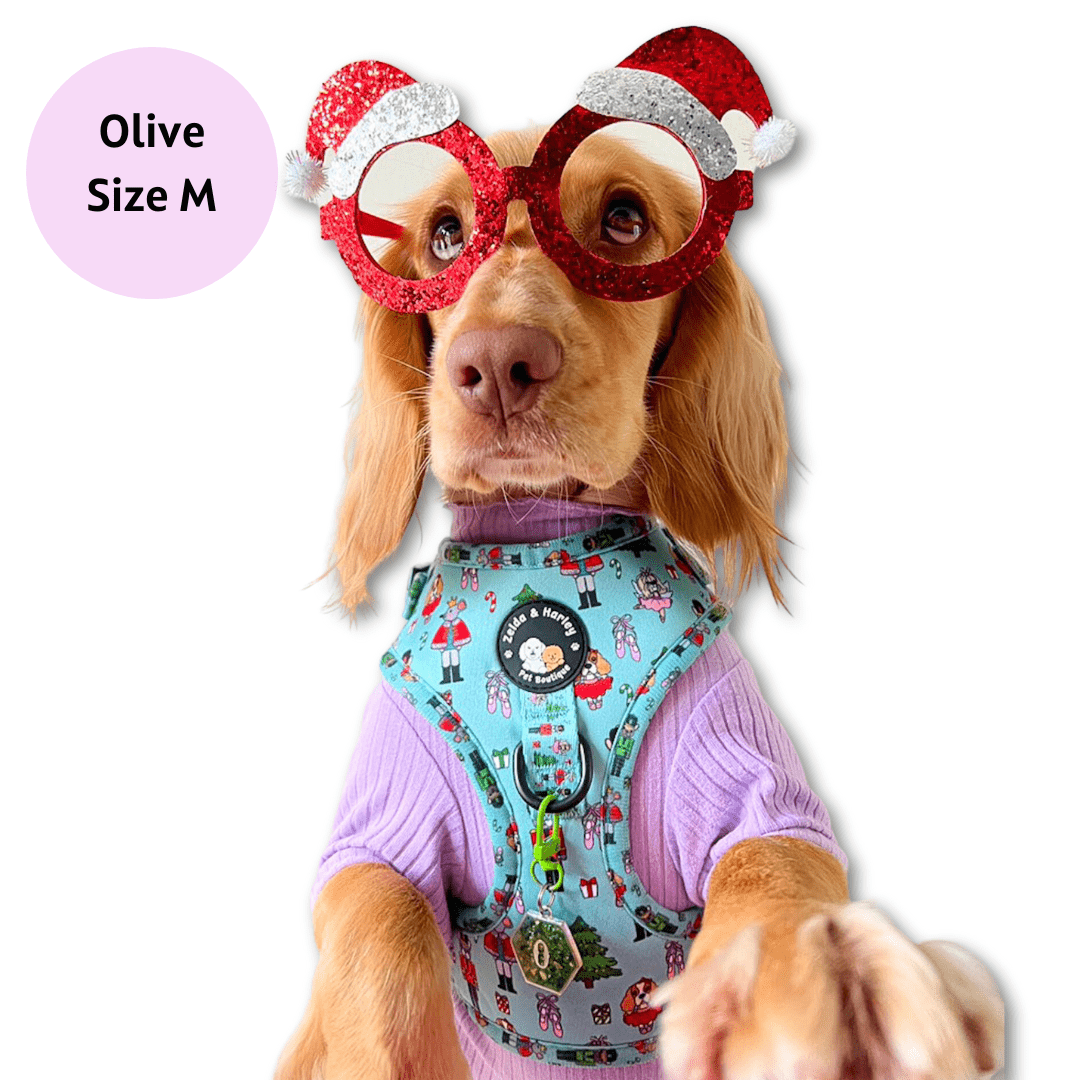 Zelda & Harley Harness The Muttcracker - No Pull Adjustable Dog Harness