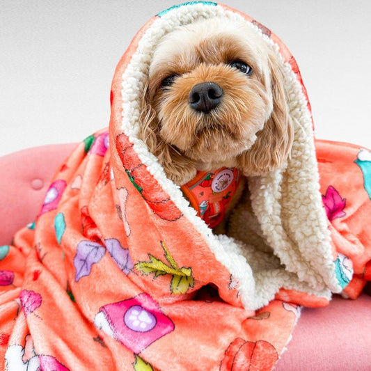 Zelda & Harley Poop Bag Holder Pupkin Spice Dog Blanket