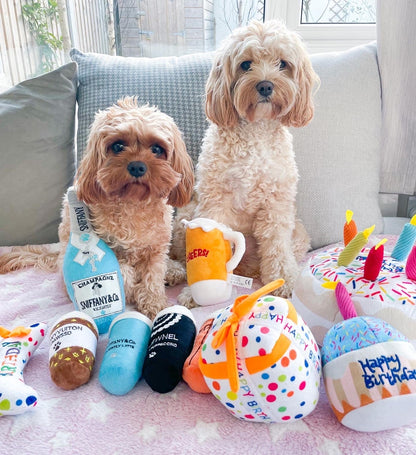 Zelda and Harley Dog Toys Puppuccinos