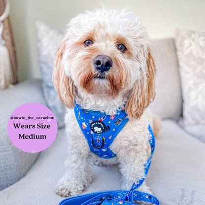 Zelda and Harley Harness Howl-lywood - D-Ring Adjustable Dog Harness