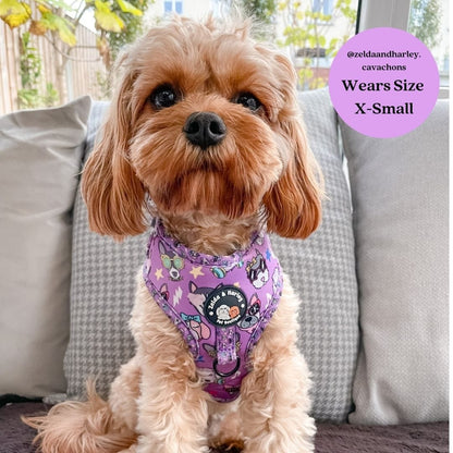 Zelda and Harley Harness Muttallica - D-Ring Adjustable Dog Harness