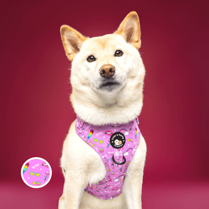 Zelda and Harley Harness Pink Paw-er - D-Ring Adjustable Dog Harness