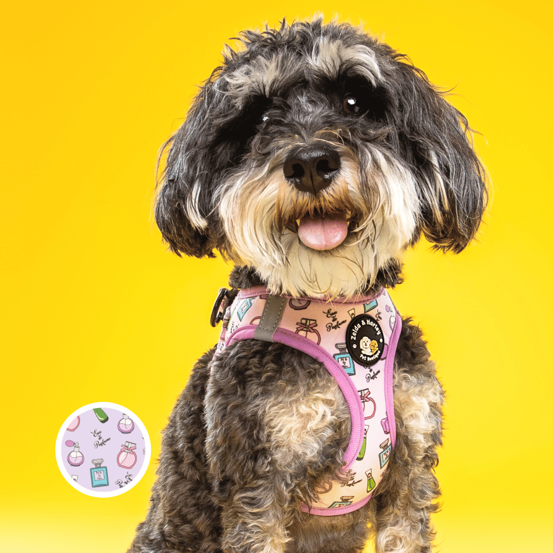Zelda & Harley Animals & Pet Supplies Eau de Pupfume - Step-in Dog Harness