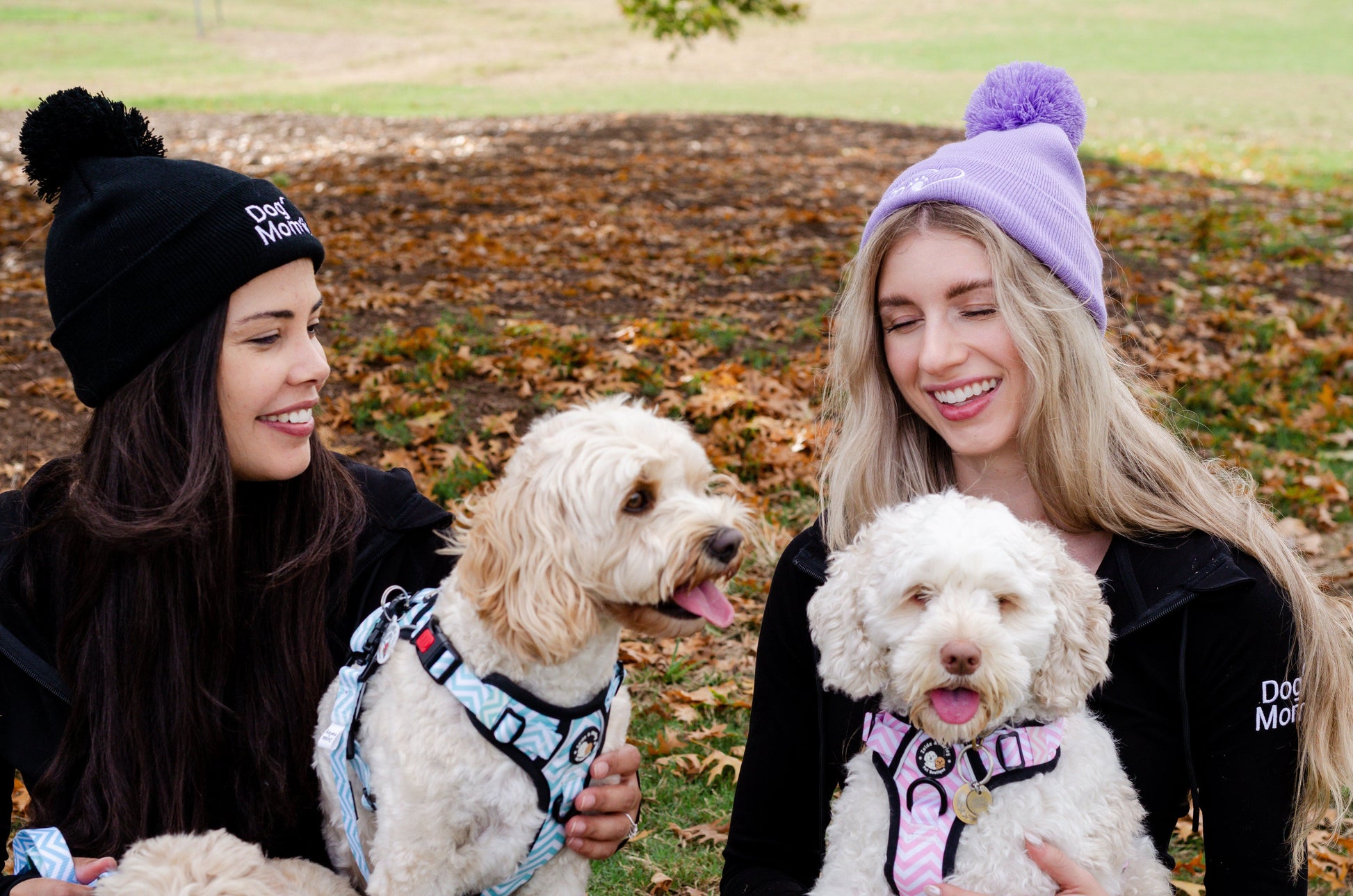 Zelda & Harley Beanie Dog Mom Bobble Beanie - Black